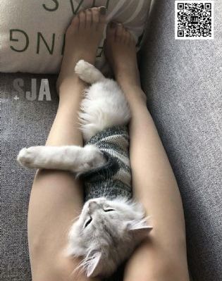 午夜久久久精品一区二区三区_高清免费在线观看